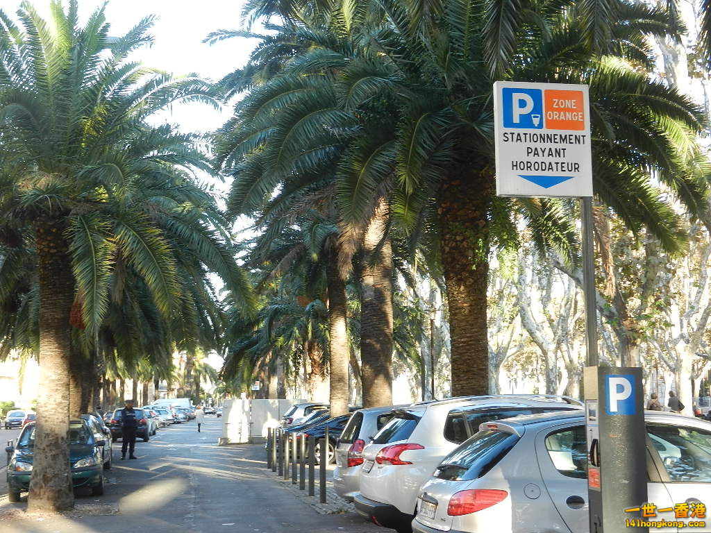 DSCN3029.JPG