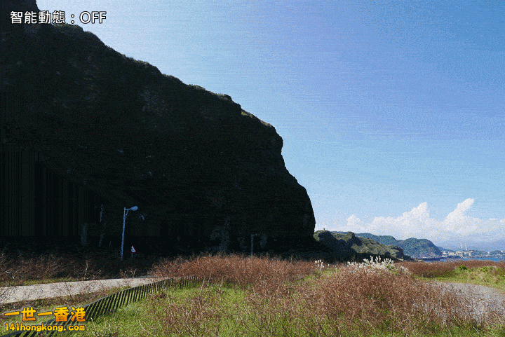 106.gif