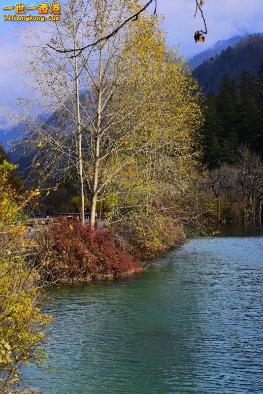 _DSC0276.jpg
