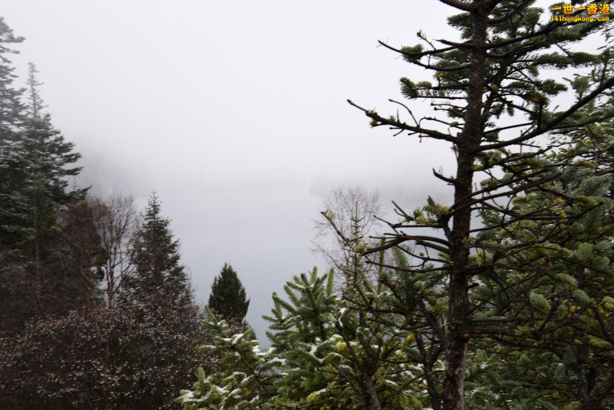 _DSC0330.jpg