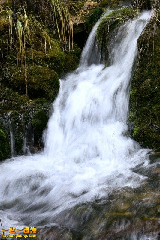_DSC0417.jpg