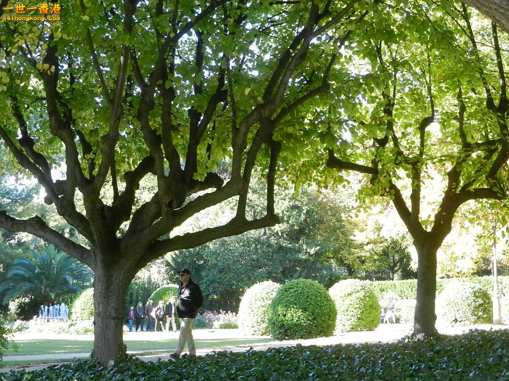 DSCN3330.JPG