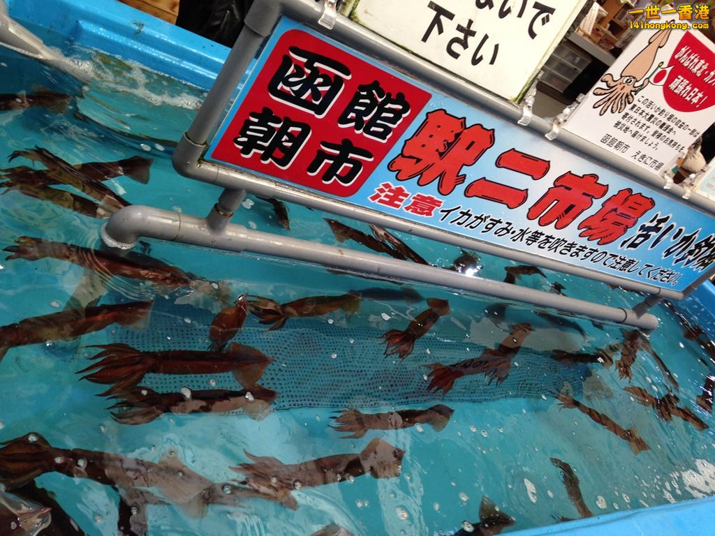 IMG_5044_副本.jpg
