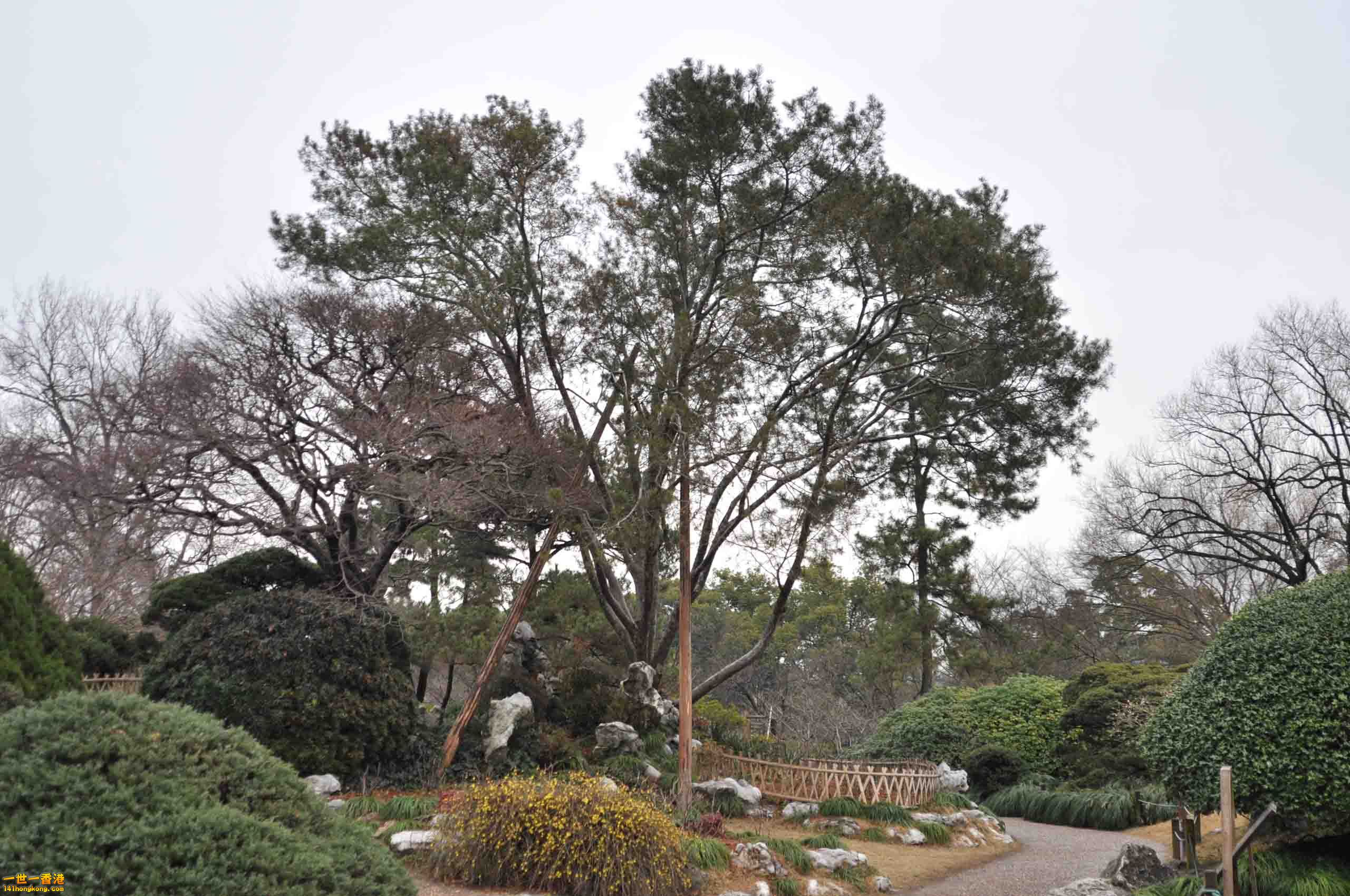 DSC_2705.JPG