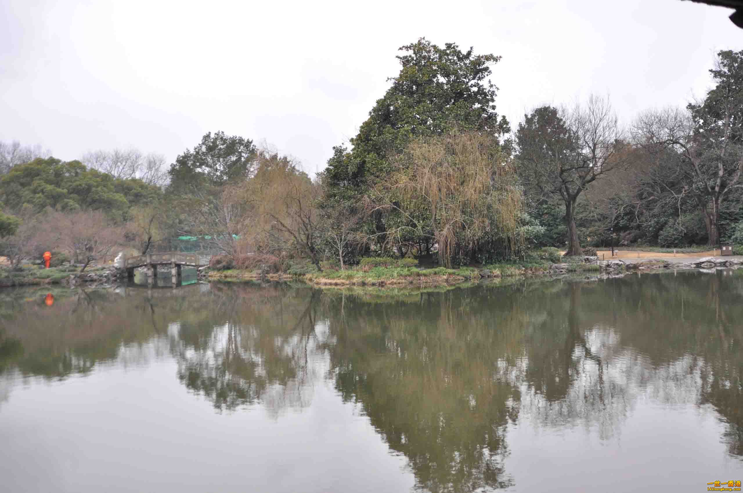DSC_2716.JPG