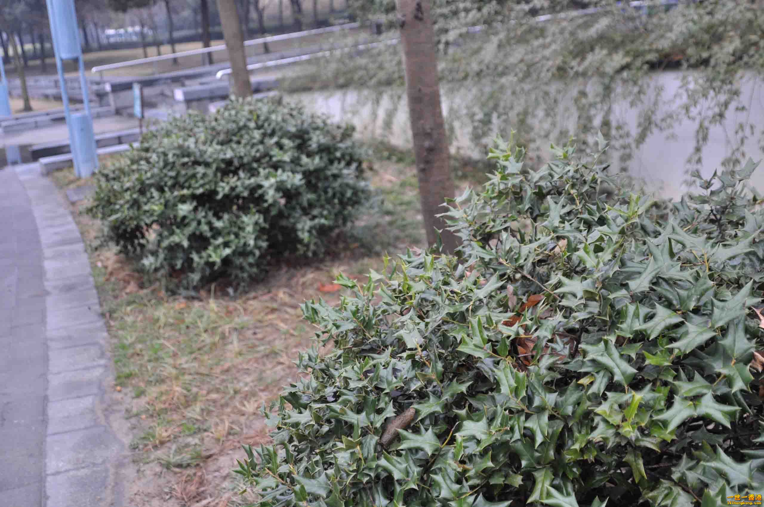 DSC_3060.JPG