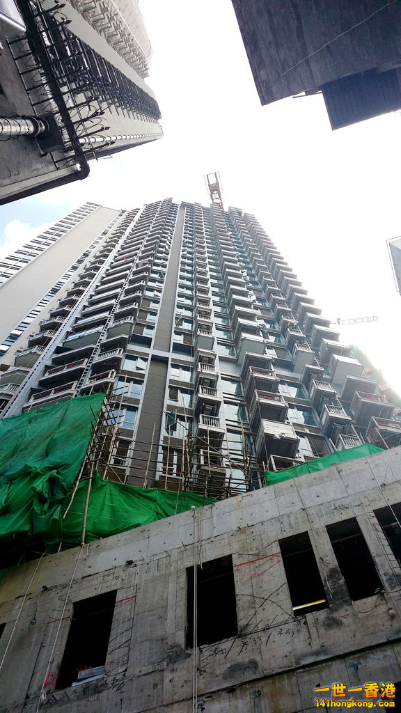 20140911_110214.jpg