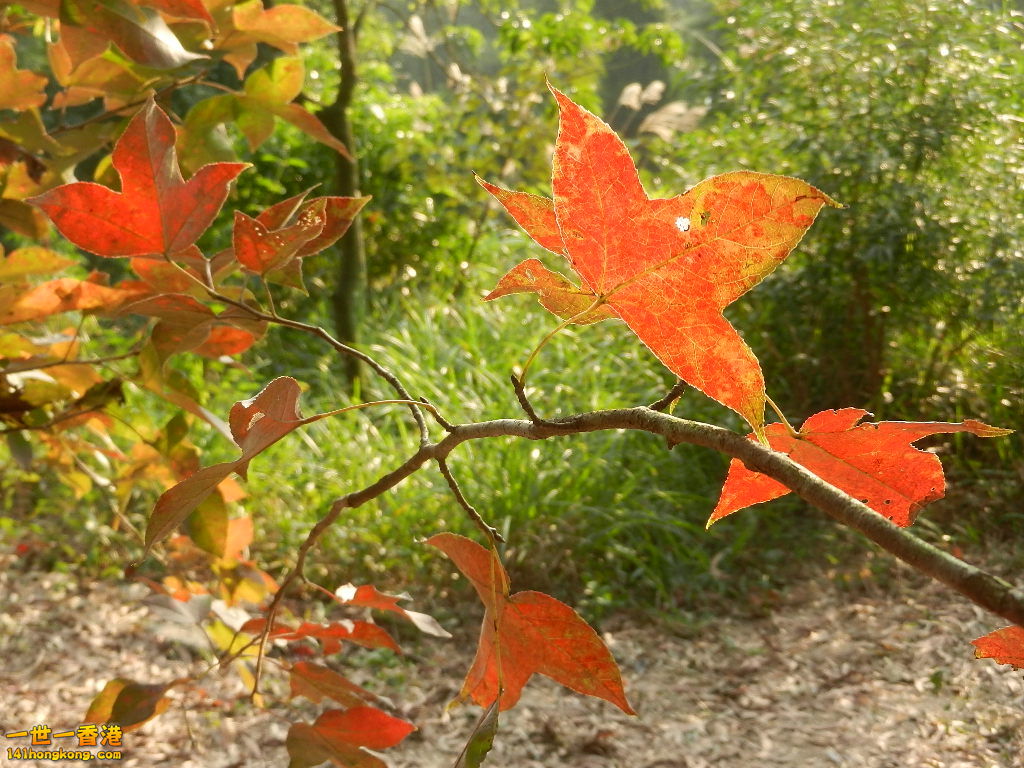 DSCN3593.JPG