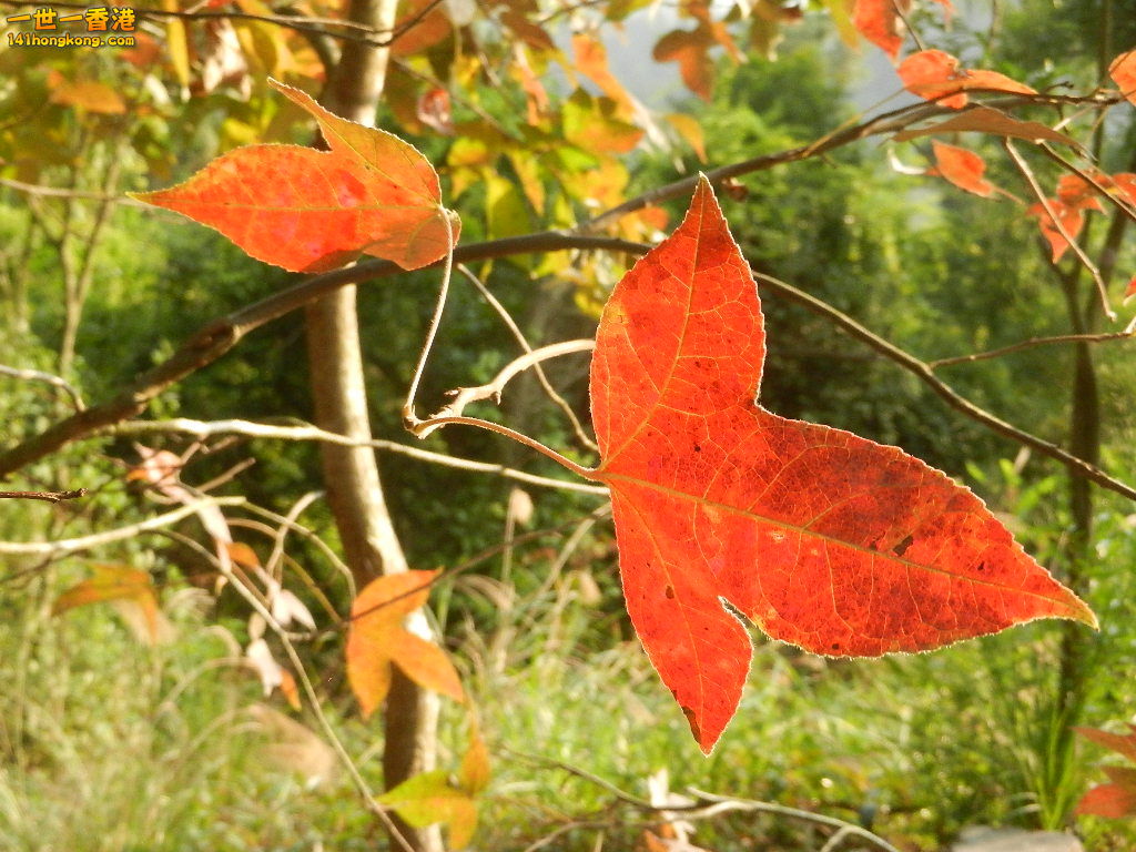 DSCN3595.JPG