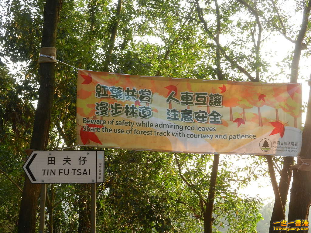 DSCN3613.JPG