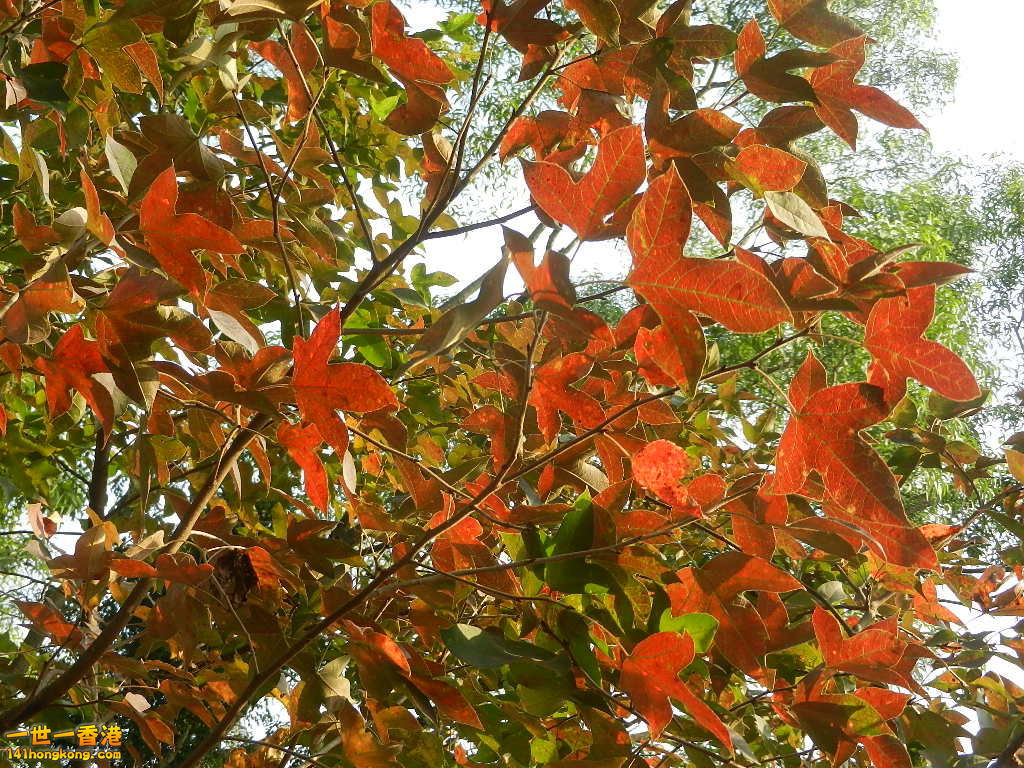 DSCN3596.JPG