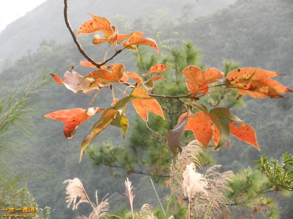 DSCN3621.JPG