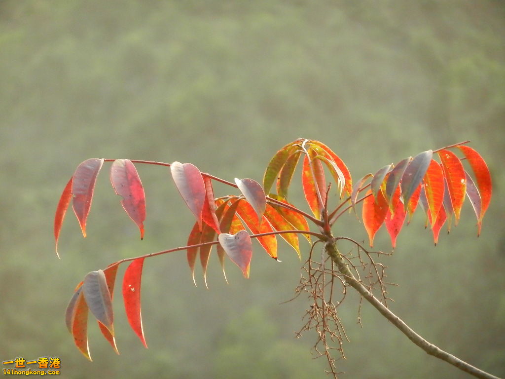 DSCN3633.JPG