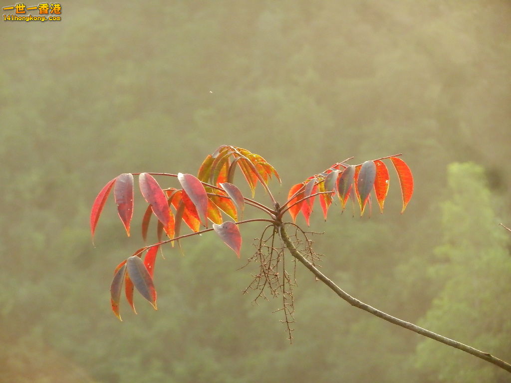 DSCN3638.JPG