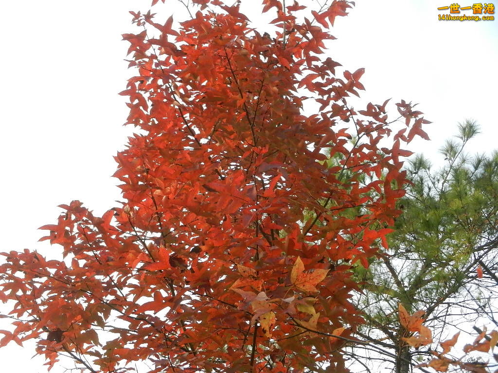 DSCN3655.JPG
