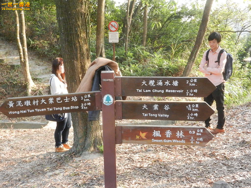 DSCN3597.JPG