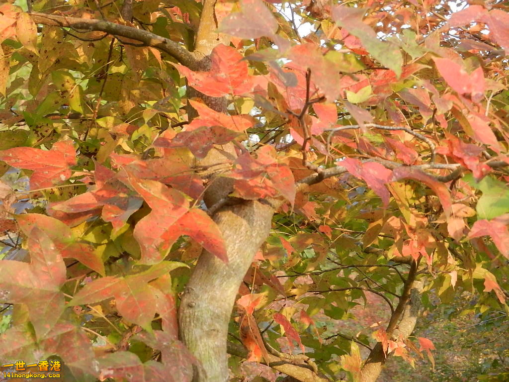 DSCN3631.JPG