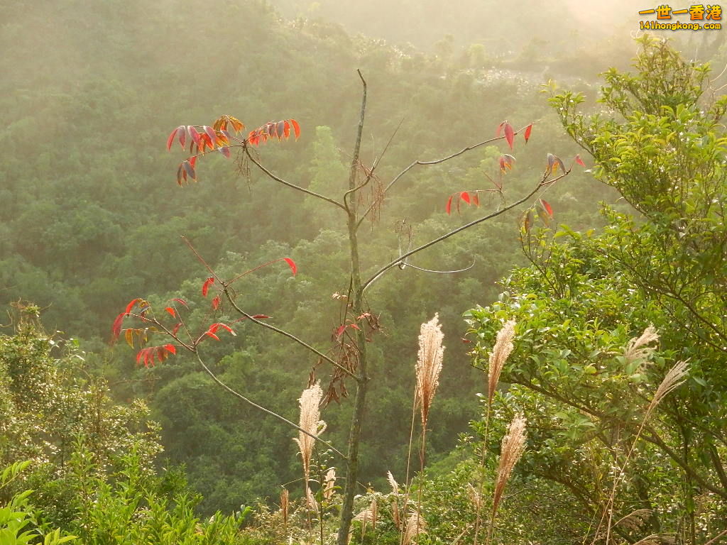 DSCN3636.JPG