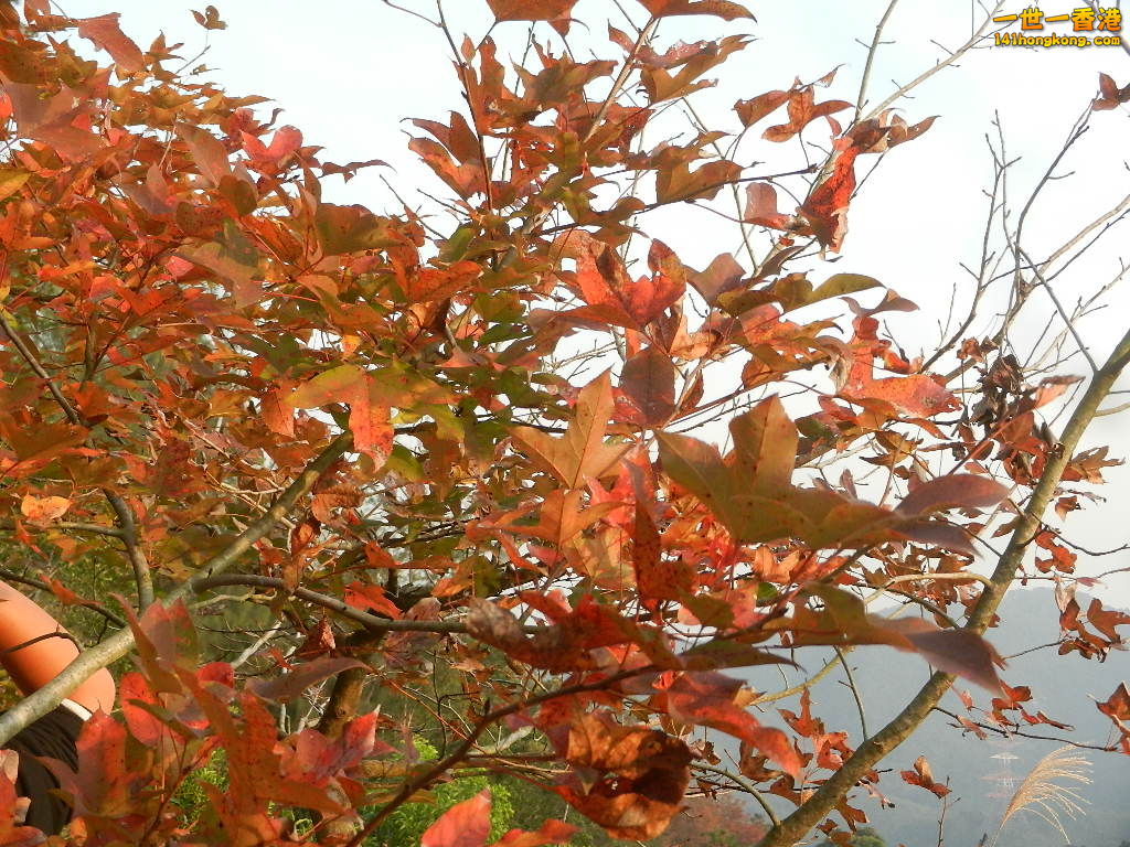 DSCN3639.JPG
