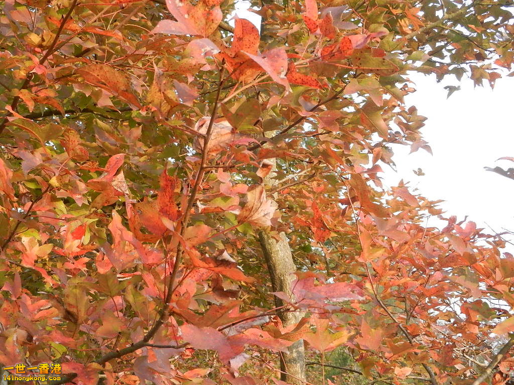 DSCN3640.JPG