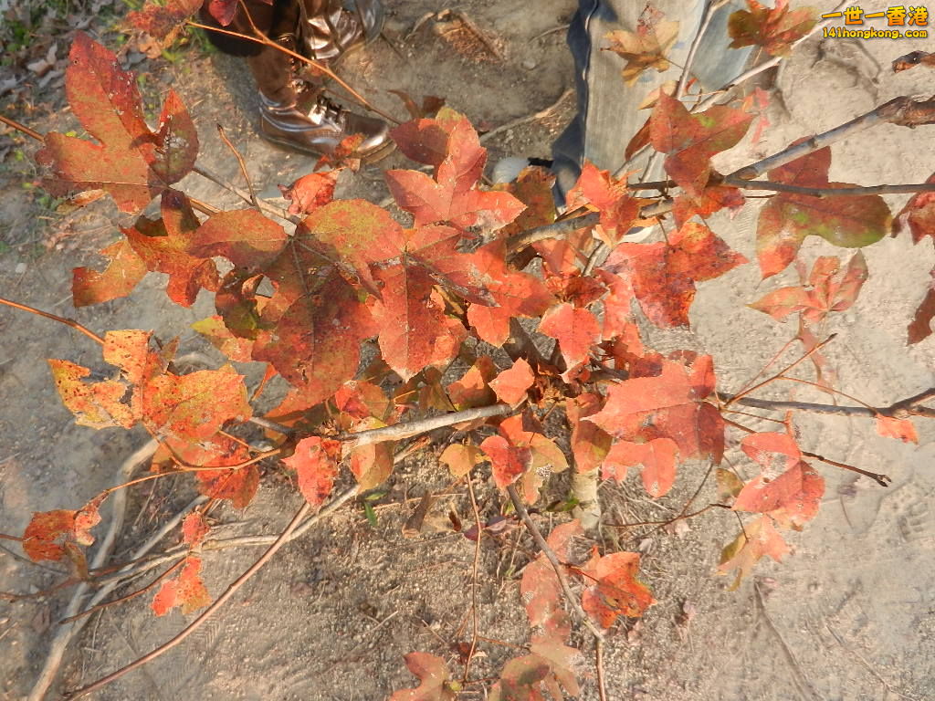 DSCN3641.JPG