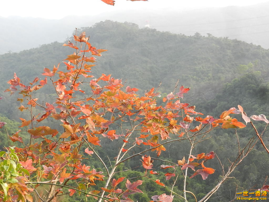 DSCN3645.JPG