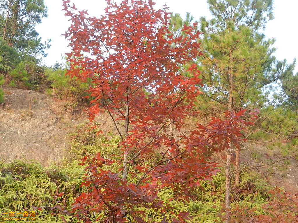 DSCN3651.JPG