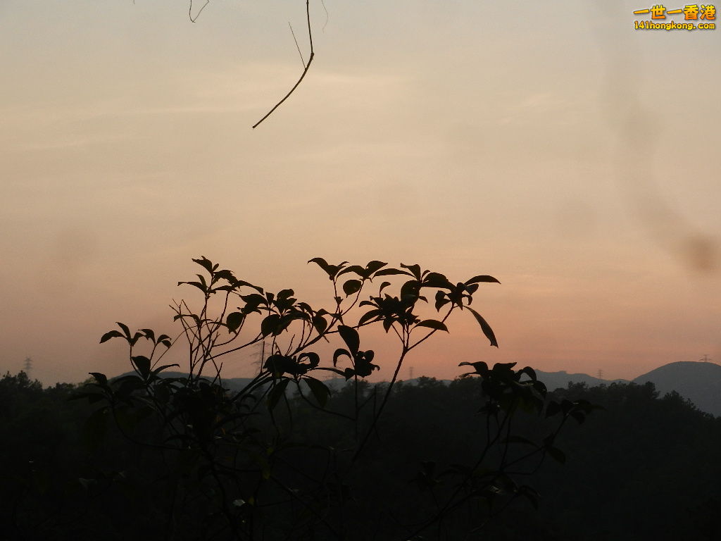 DSCN3671.JPG