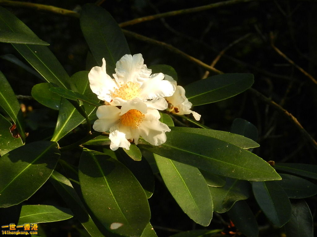 DSCN3588.JPG