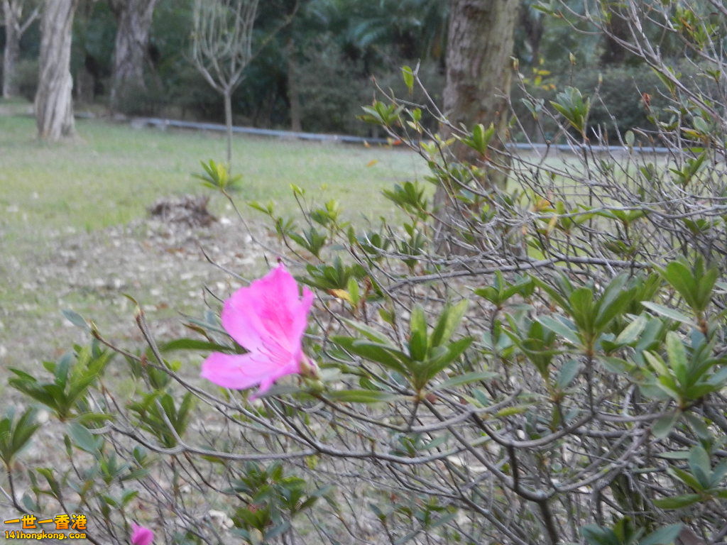 DSCN3676.JPG