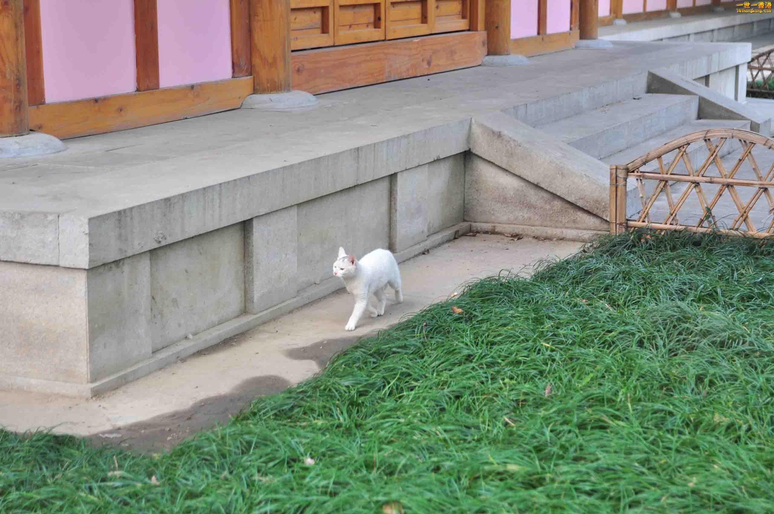 DSC_3353.JPG