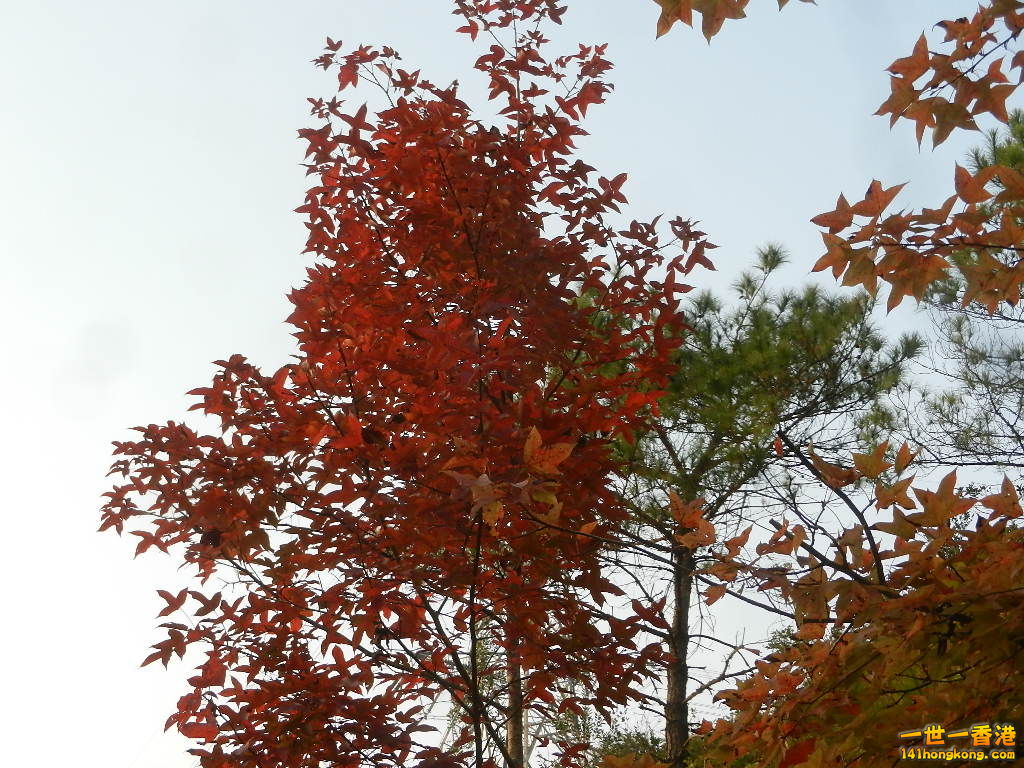 DSCN3654.JPG