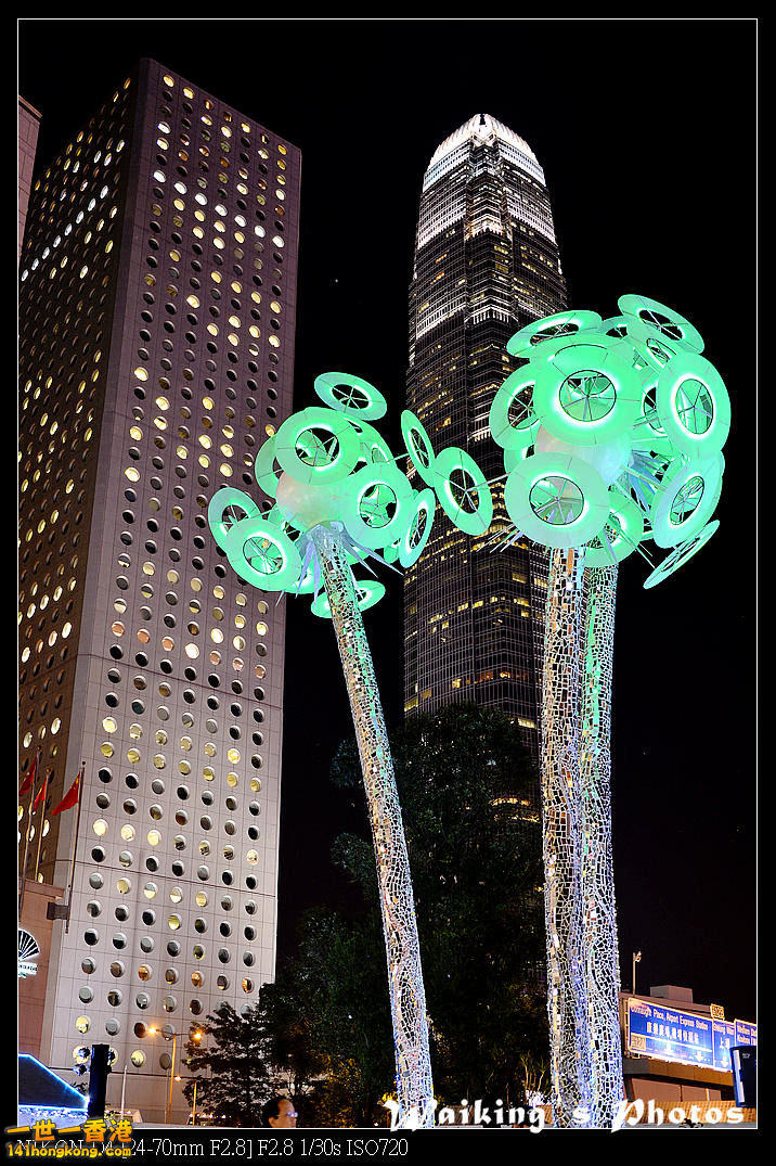 DSC_7129.jpg