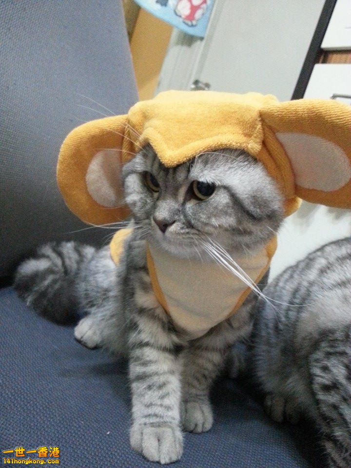2013-12-07 13.40.58.jpg