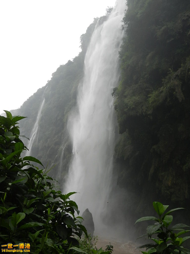 DSCN0007.JPG