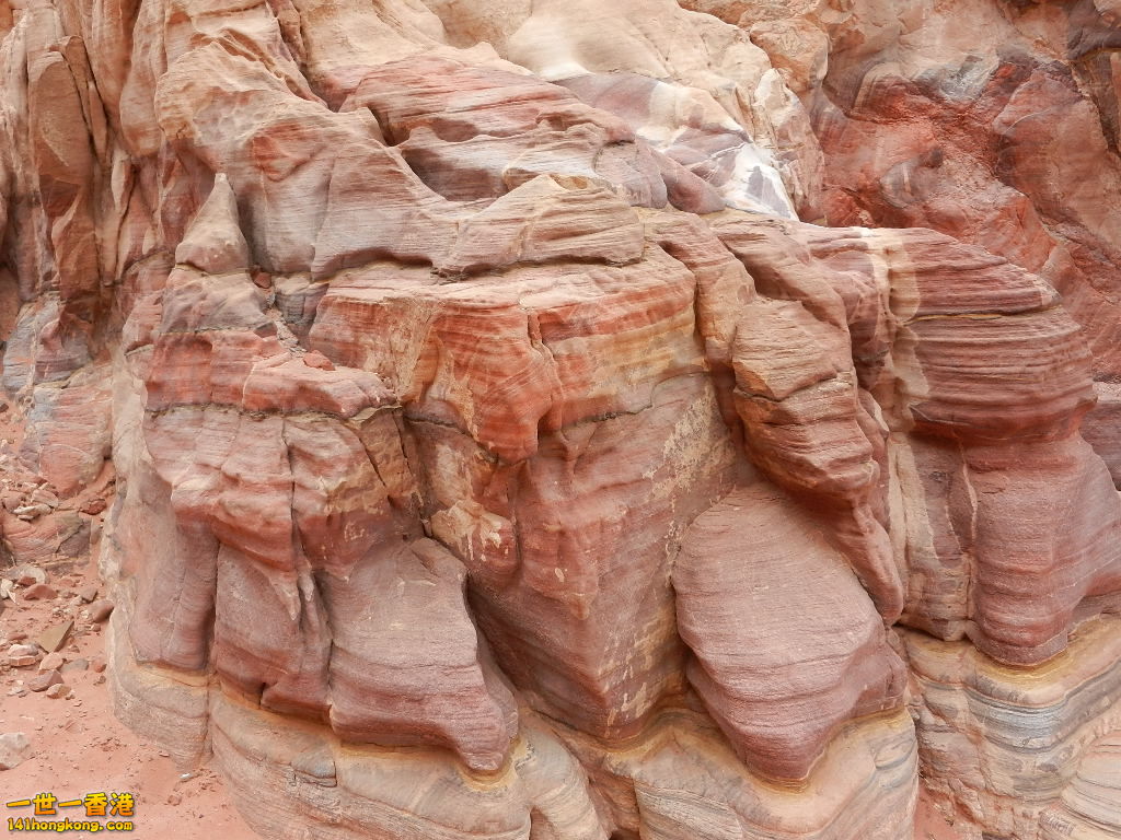 DSCN7137.JPG