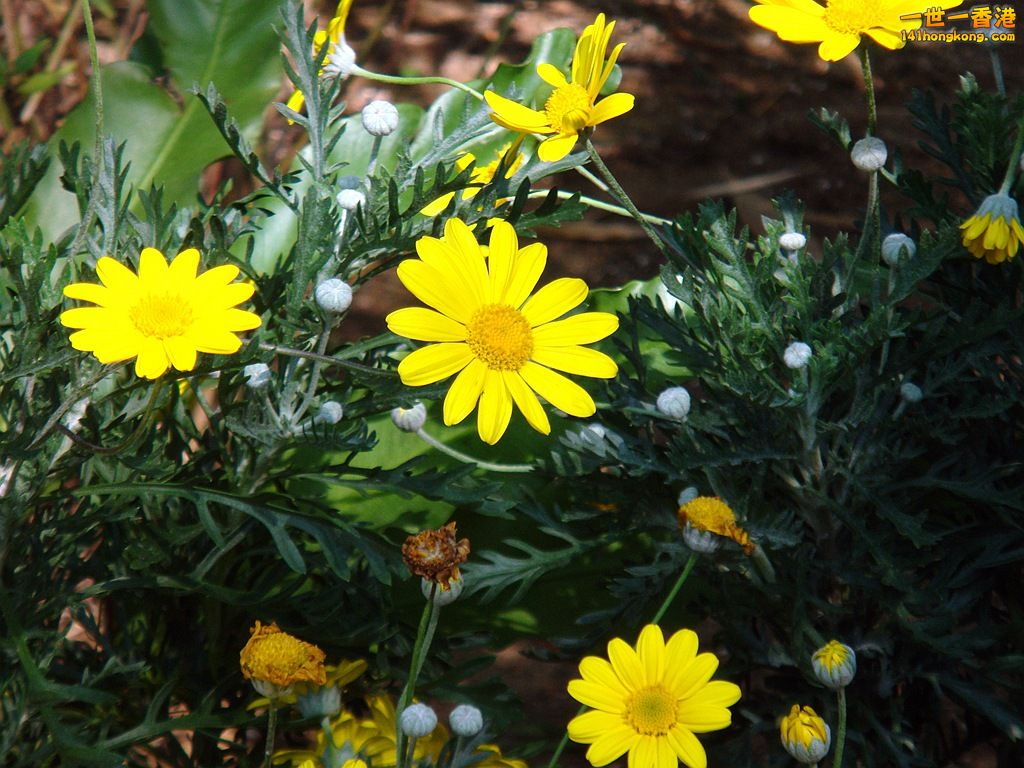 DSC09833.JPG