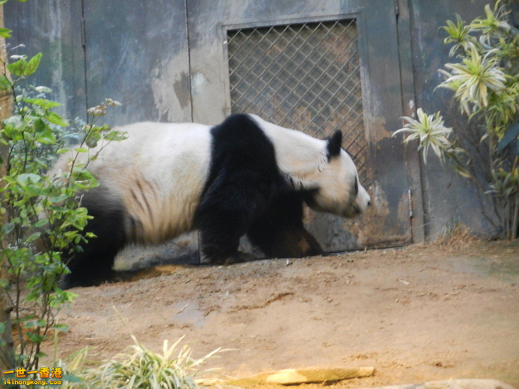 DSCN1714.JPG