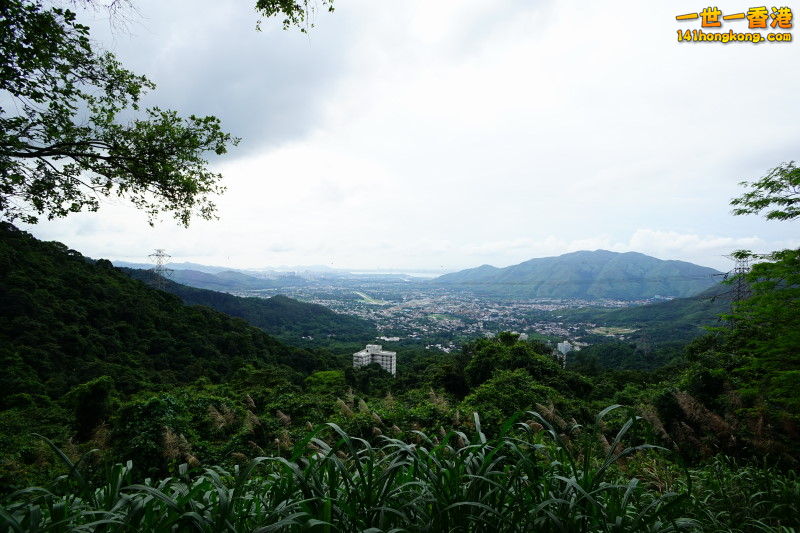 DSC04221.JPG