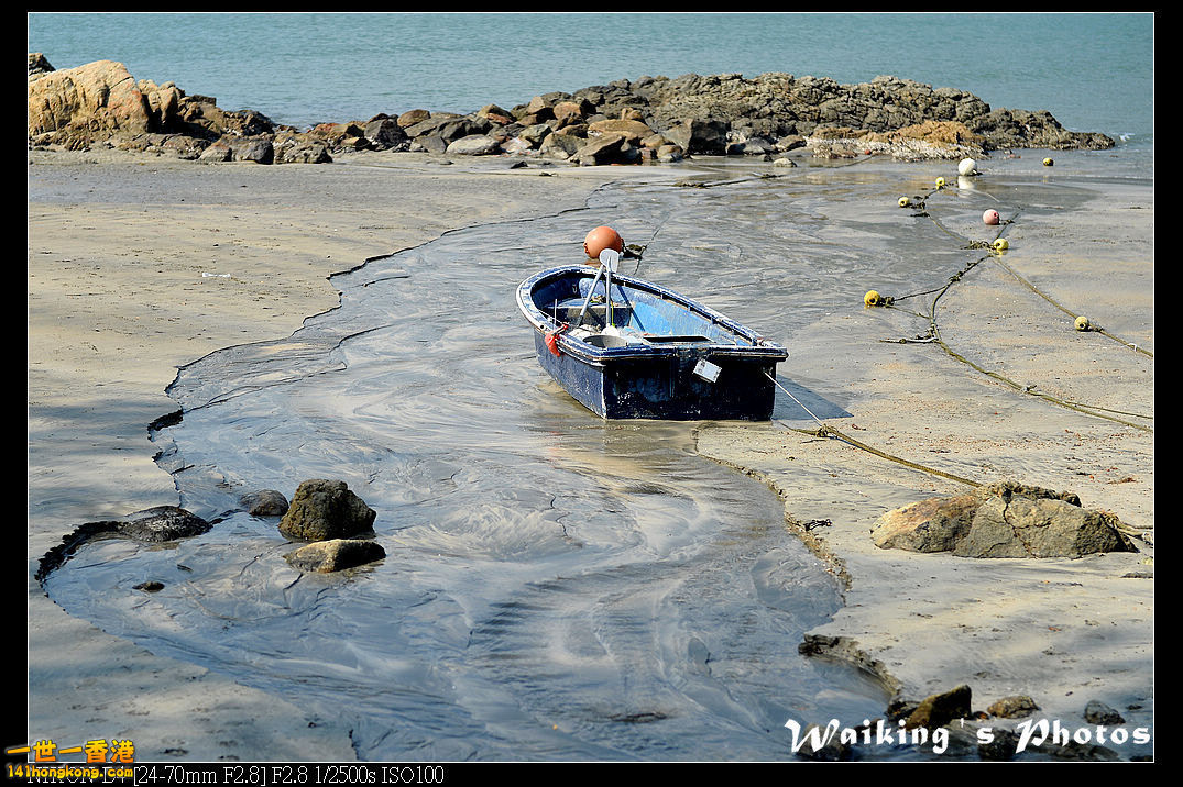 DSC_8180.jpg