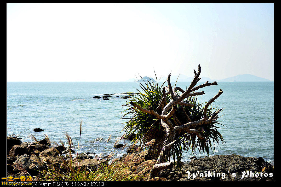 DSC_8186.jpg
