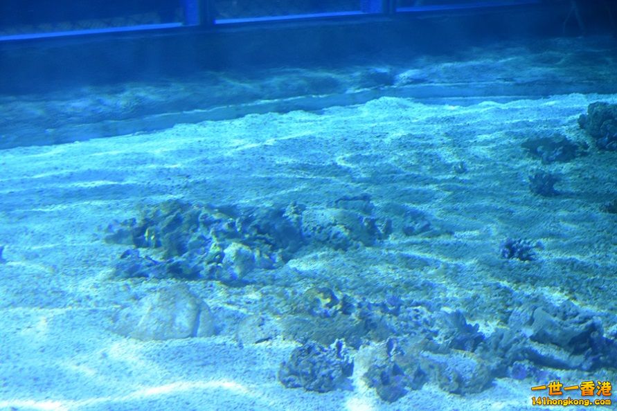 SC_0010.JPG