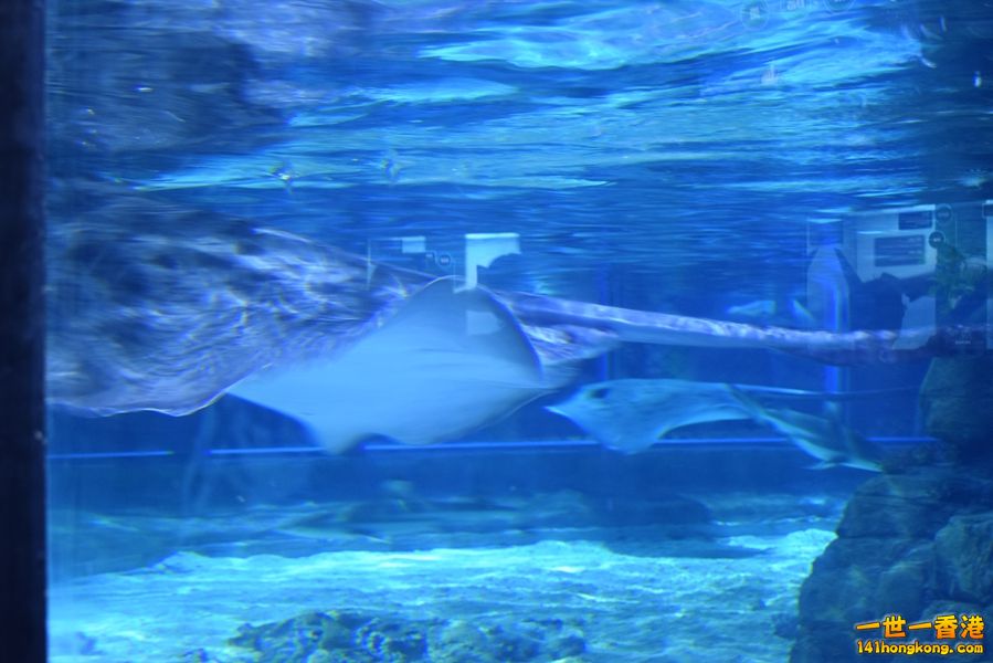 SC_0011.JPG