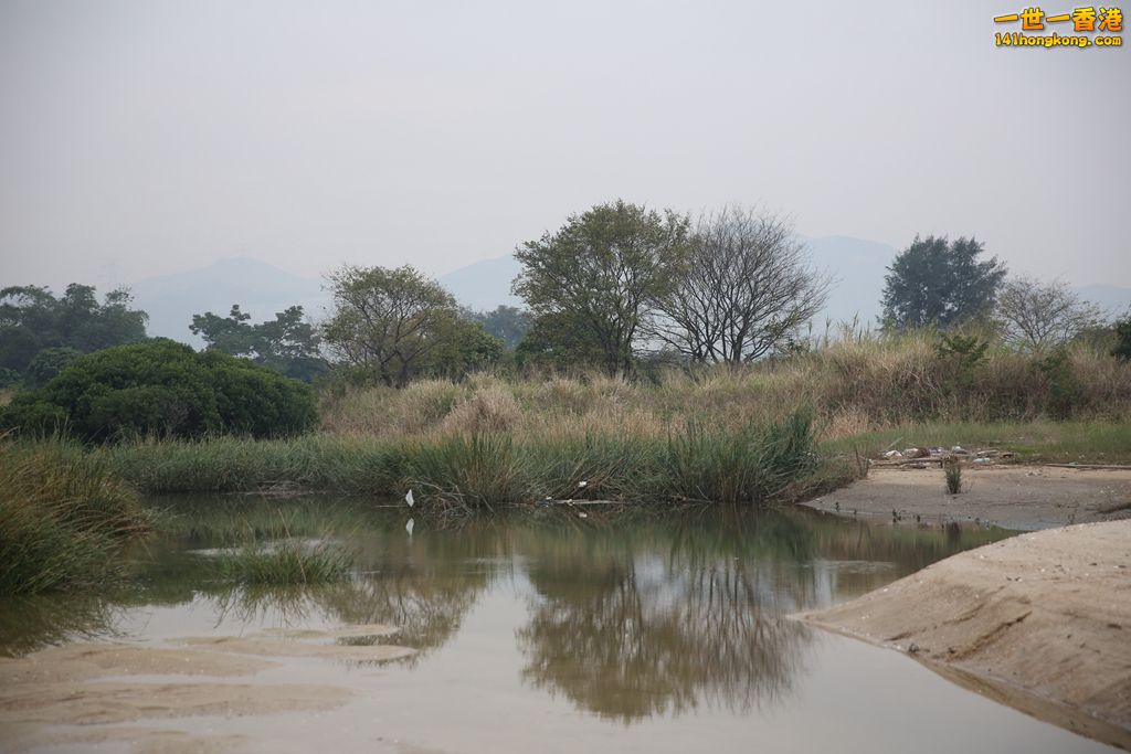 3P1A8224.JPG