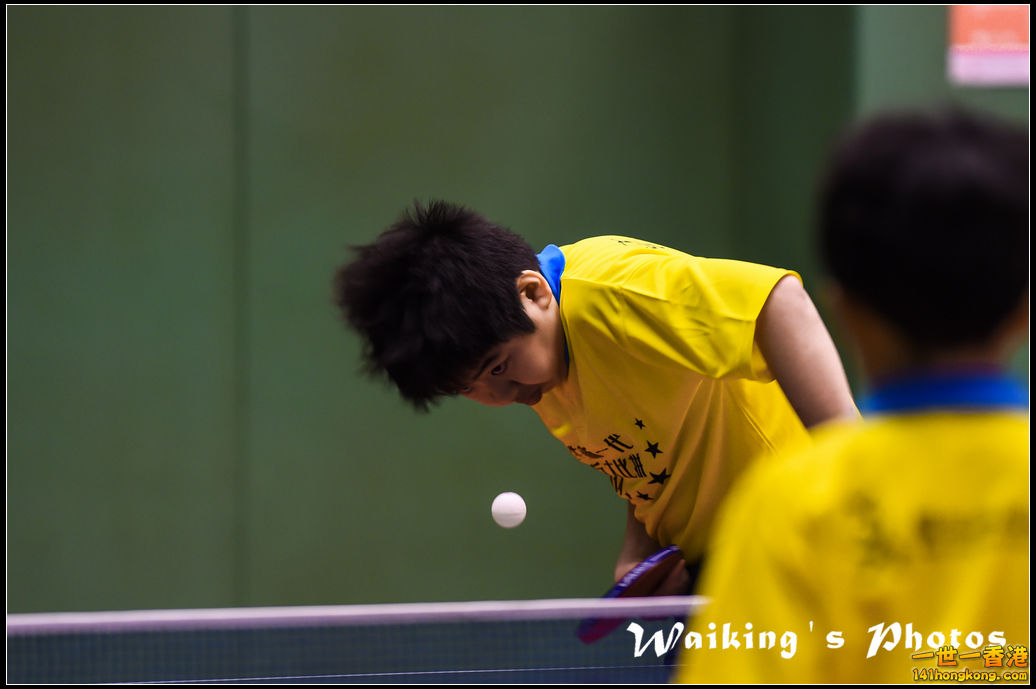 141228 Ping Pong - 0004.jpg