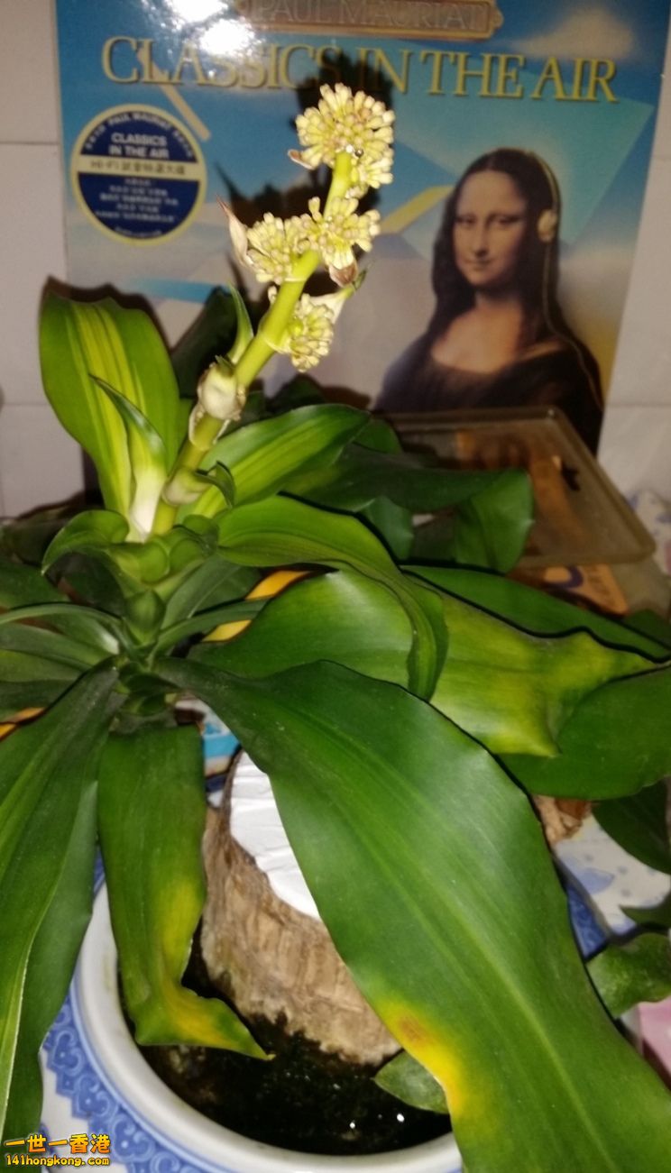 20150116_202318.jpg