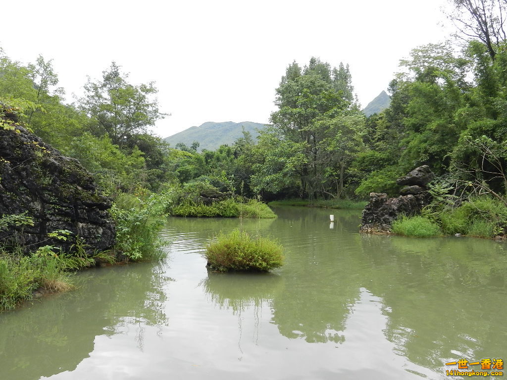 DSCN9298.JPG