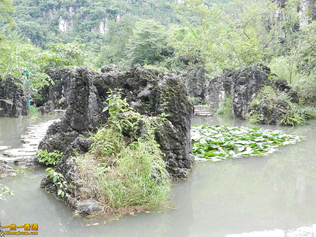 DSCN9319.JPG