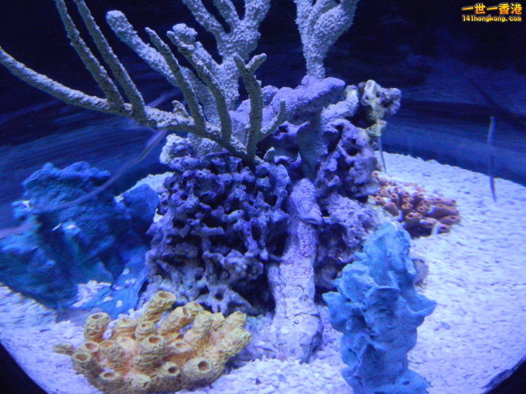 DSCN3759.JPG