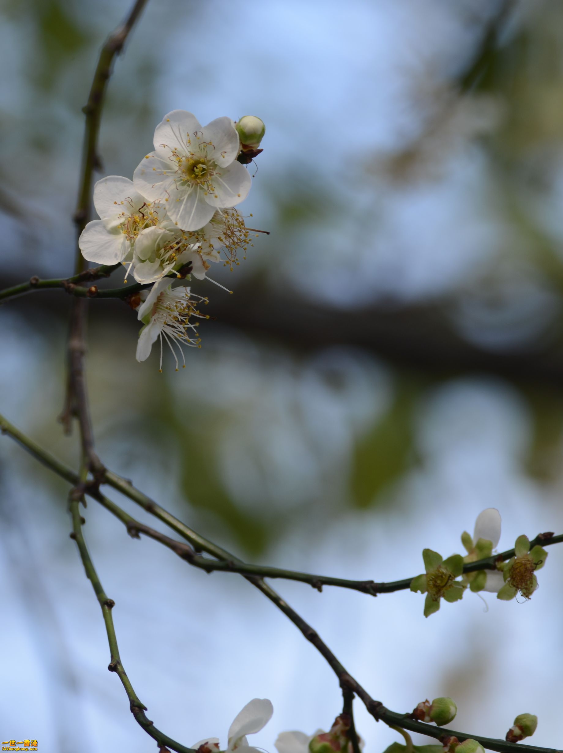DSC_1693.JPG